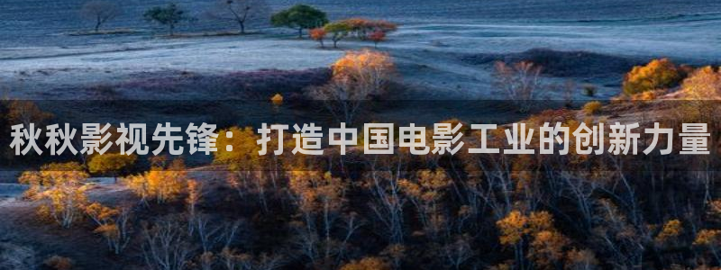 飘雪影院免费观看完整版视频：秋秋影视先锋：打造中国电影工业的创新力量