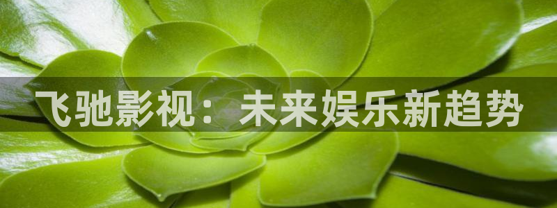 星辰飘雪影院免费观看：飞驰影视：未来娱乐新趋势