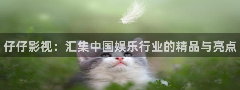 飘雪影院热门电影有哪些：仔仔影视：汇集中国娱乐行业的精品与亮点