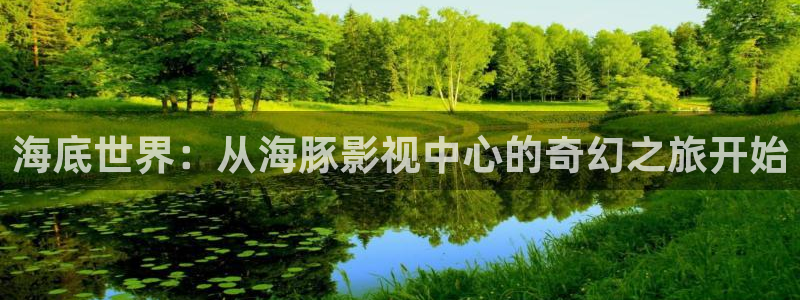 飘雪影院电影免费观看：海底世界：从海豚影视中心的奇幻之旅开始