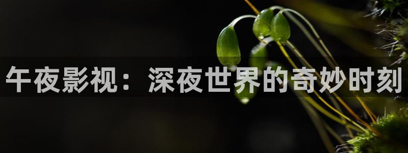 飘雪影院高清电视剧免费观看：午夜影视：深夜世界的奇妙时刻